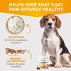 Premium Care Itch Relief for Dogs - 120 Allergy Chews for Dogs - anti Itch Seasonal Support for Pets Itchy Skin Relief Skin Health Support with Colostrum, Vitamin C, Omega and Bee Pollen