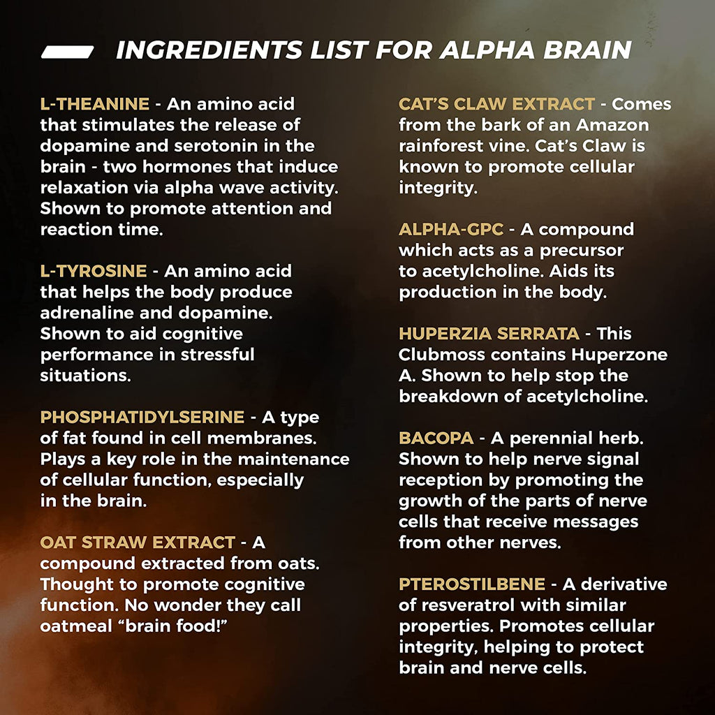 ONNIT Alpha Brain (120Ct) - over 1 Million Bottles Sold - Premium Nootropic Brain Supplement - Focus, Concentration & Memory - Alpha GPC, L Theanine & Bacopa Monnieri